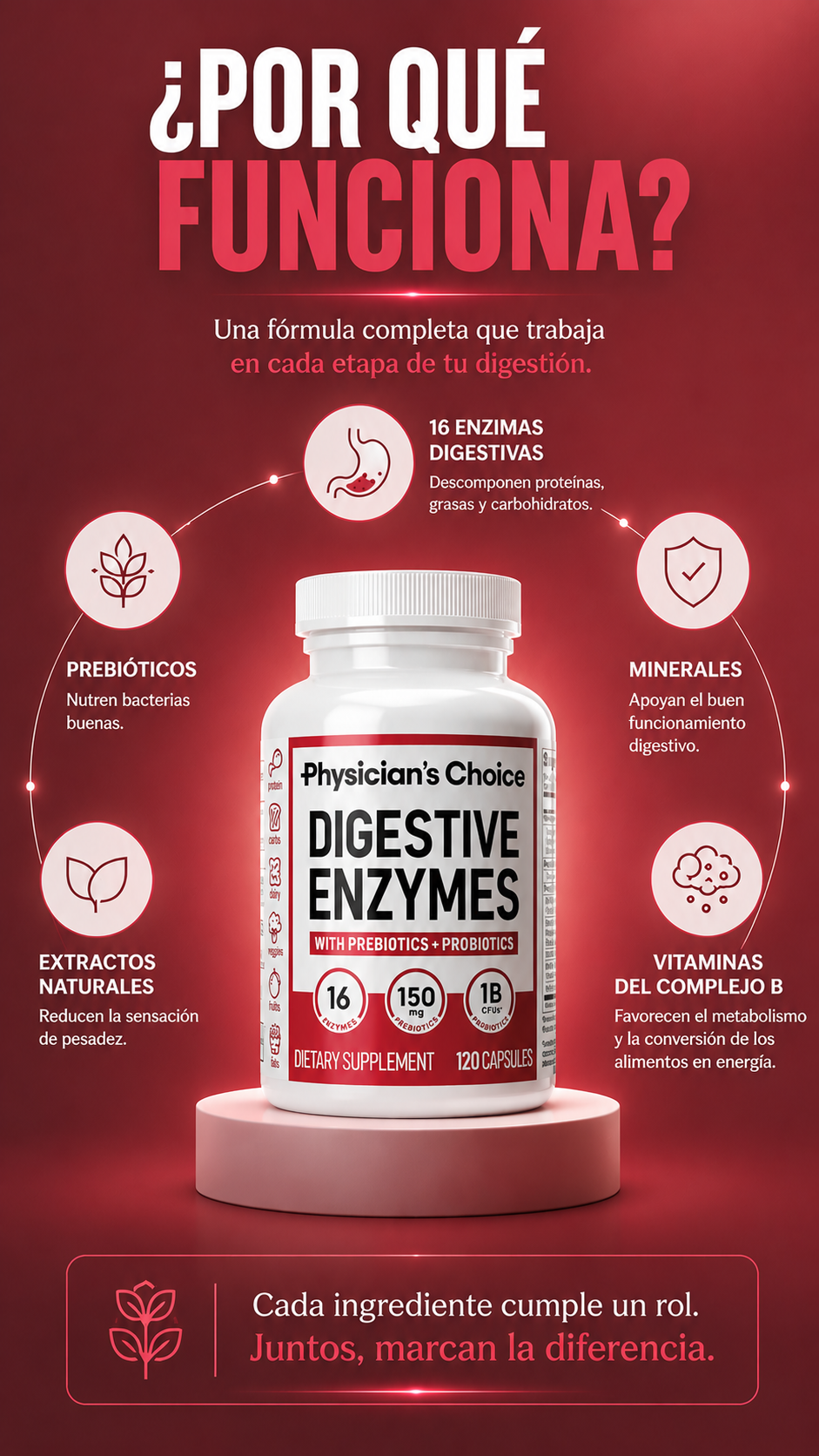 Digestive Enzymes